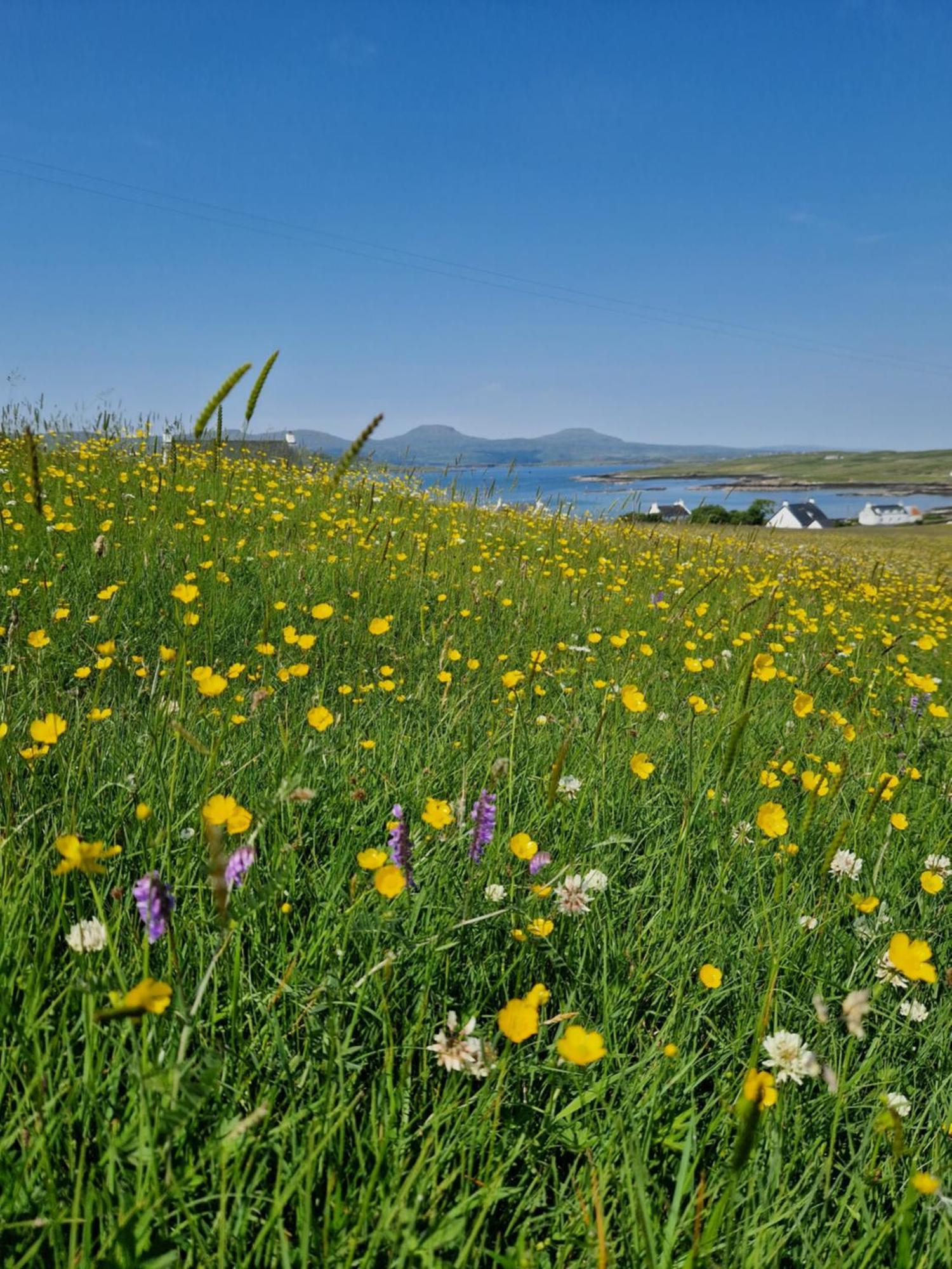 Ornum Self Catering Cottage Eabost Eksteriør billede